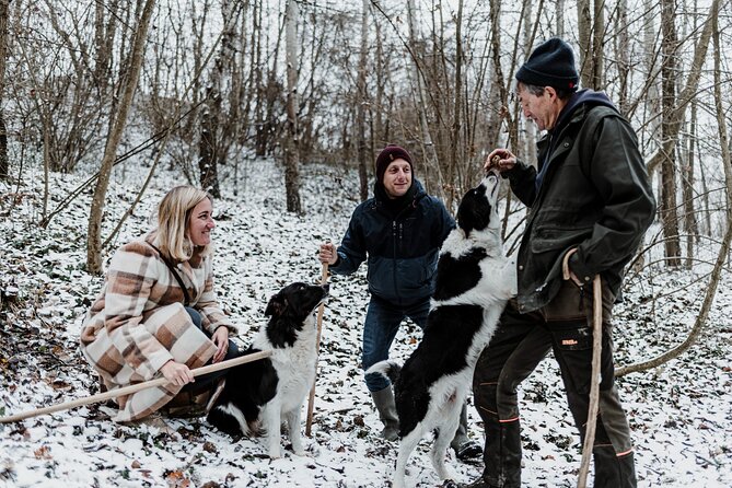 Truffle Hunting and Barolo Tasting Tour in the Alba Area - Tour Overview and Highlights