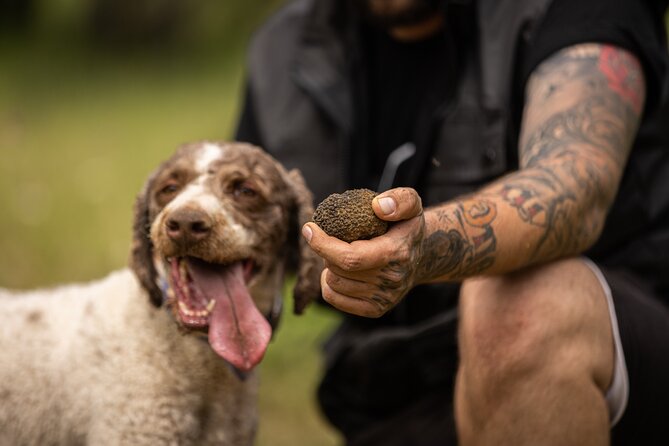 Truffle Hunting at Meteora - Truffle Hunting Dogs in Action