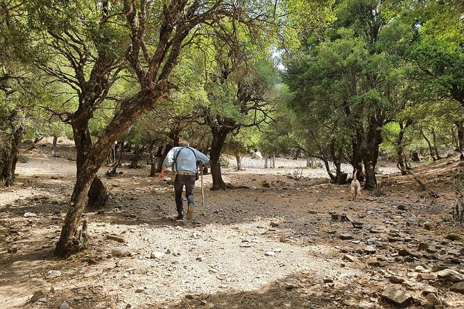 Truffle Hunting, Culinary & Wine Celebration From Elounda - Truffle Hunting Experience