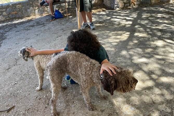 Truffle Hunting, Culinary & Wine Celebration From Heraklion - Pricing and Booking