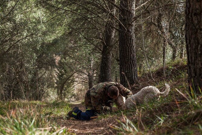 Truffle Lunch & Hunting Experience in San Gimignano - Overview and Experience Details
