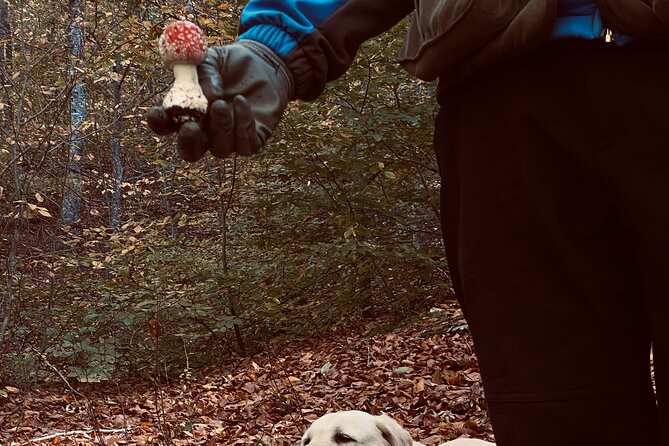 Truffle Tracers From Chalkidiki - Truffle Hunting: A Unique and Exciting Experience