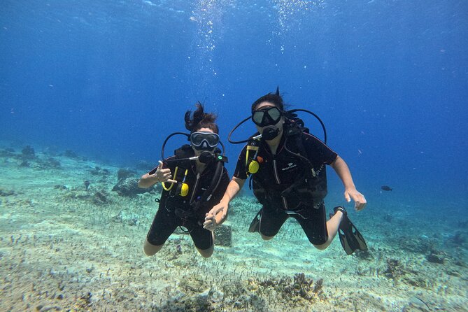 Try Diving Without Prior Experience - Benefits of Trying Diving With No Experience