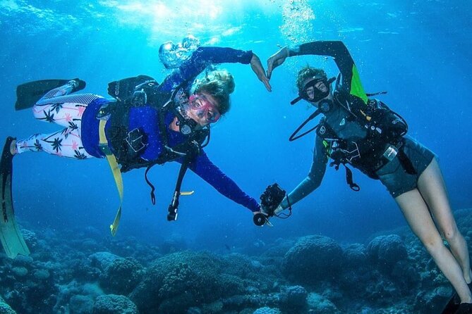 Try Scuba Diving Experience in Fujairah - What to Expect