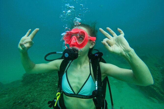 Try Scuba Diving & Snorkeling With BBQ Lunch & Transfer - Pricing and Packages