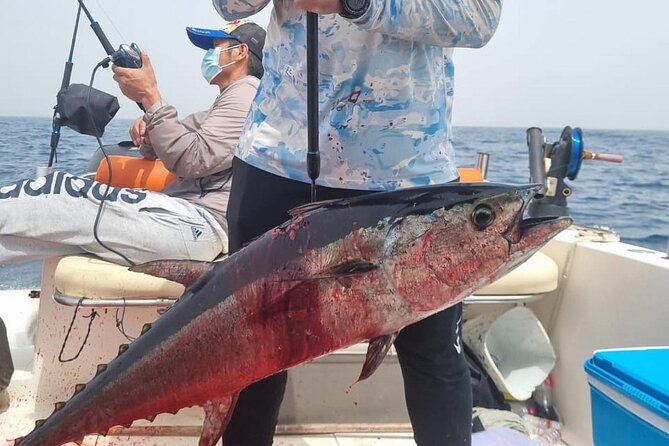 Tuna and Amberjack Offshore Adventure - Targeted Fish Species