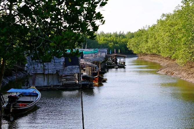 Tung Yee Peng Mangrove Forest Tour By Longtail Boat From Koh Lanta - Tour Details