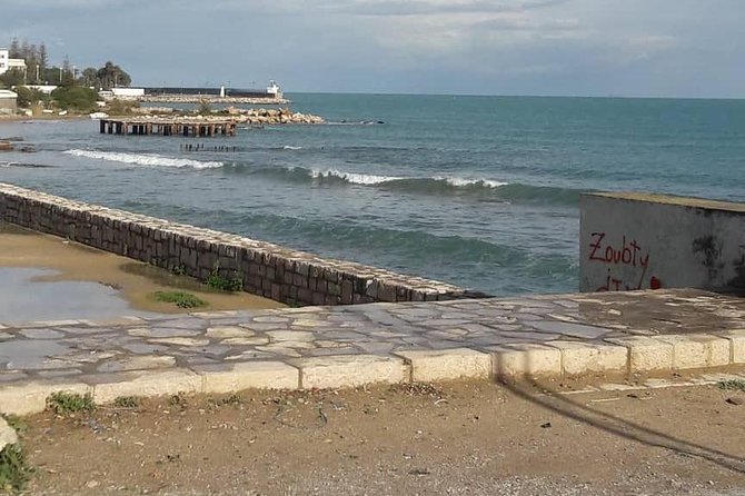 Tunis, Carthage and Sidi Bou Said Self-Guided Excursion From Hammamet - Pricing and Booking Details