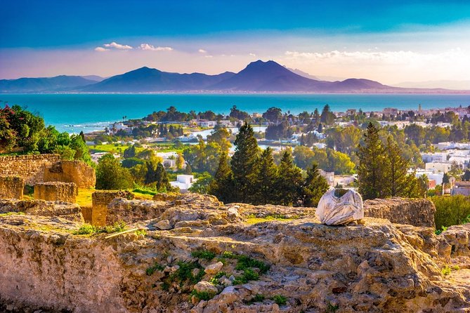 Tunis: Carthage, Bardo Museum, Sidi Bou Said and Medina Day Tour - Historical Significance