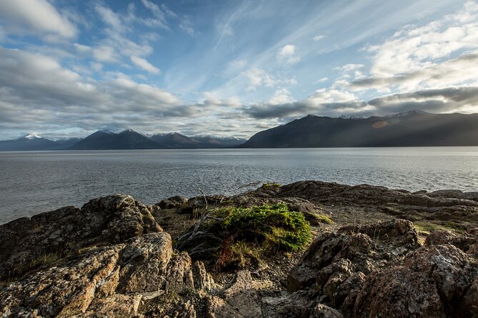 Turnagain Arm Sightseeing Experience and Wildlife Tour - Tour Details