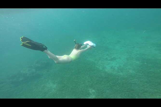 Turtle Spotting Snorkeling Adventure- No Jets - Importance of Snorkeling Equipment