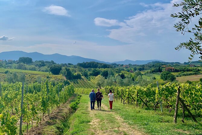 Tuscany and Wine Tasting Private Tour From Livorno - Must-Visit Destination: San Gimignano