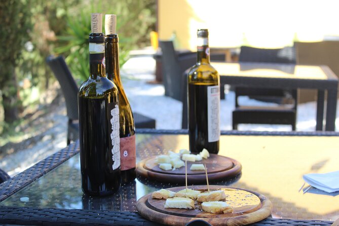 Tuscany Secret Winery Tastings and Lunch Group Tour From Lucca  - Pisa - Wine Cellar Exploration