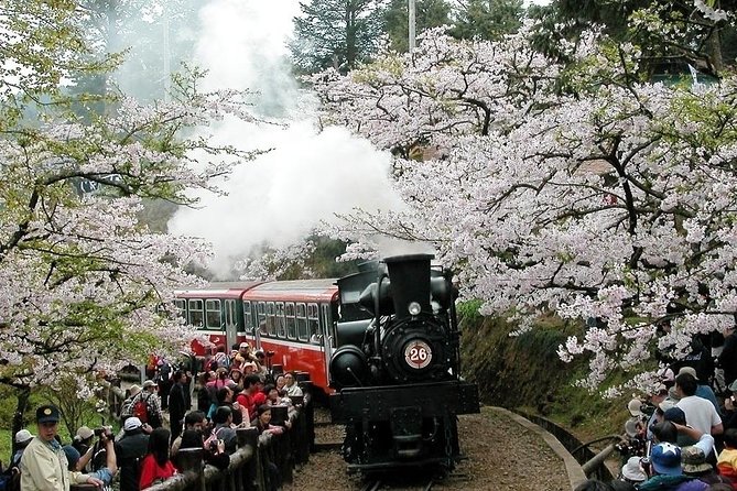 Two-day Sun Moon Lake & Alishan Forest Park Tour Package - Overview of Sun Moon Lake & Alishan Forest Park