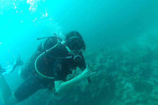 Two Dives for Certificates in the Coral Reef in Mahahual Costa Maya - Dive Details