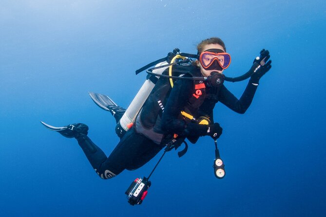 Two Dives for Certified Divers and Snorkeling in Fujairah - Dive Master Guided Tour to Different Sites