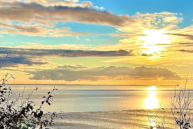 Ultimate Anchorage Winter Wildlife & Sunset Tour - Tour Highlights