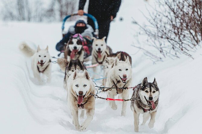 Ultimate Dog Sledding Tour - Day Trip From Ottawa & Gatineau - Tour Duration and Pickup Time