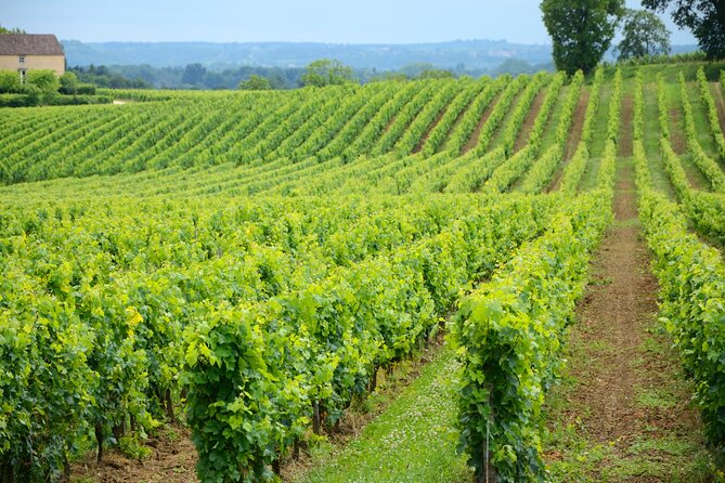 UNESCO Heritage and Wine Delights Private Tour From Bordeaux - Tour Details