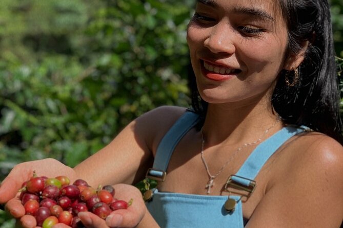 Unique Dalat Forest Coffee Harvest, Production & River Experience - Meeting and Pickup Information
