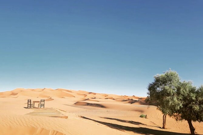 Unique Desert Experience 5 Days Tour From Fes to Marrakech - Highlights and Activities