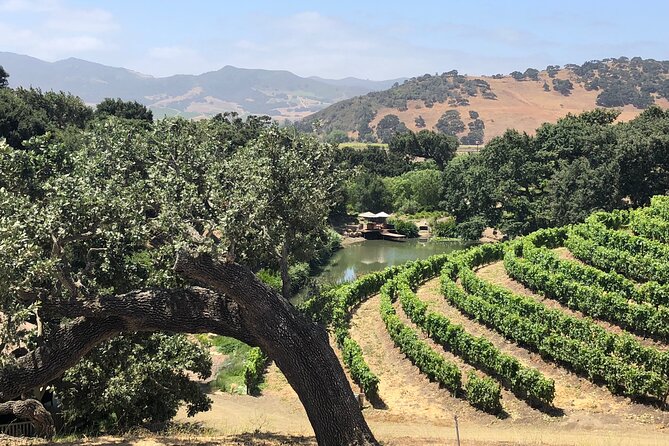 Unique Santa Barbara Wine Country Private Wine Tours and Tastings - Duration and Admission