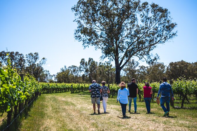 Upper Reach Winery: Swan Valley Winery and Vineyard Tour - Pricing and Booking