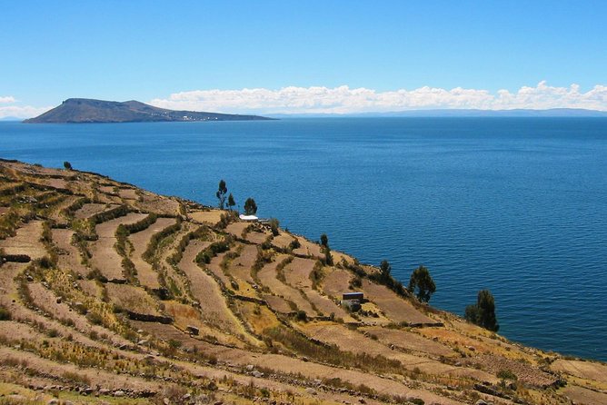 Uros Reed Floating Islands & Taquile Island Titicaca Puno Full Day - Tour Organization