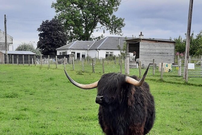 Urquhart Castle, Culloden, Loch Ness Centre, Gin, Outlander Sites - Exploring Culloden Battlefield