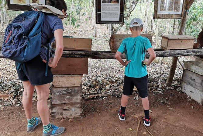 Valladolid Mayan Bees Tour With Lunch or Breakfast and Honey Tasting - Tour Confirmation and Accessibility