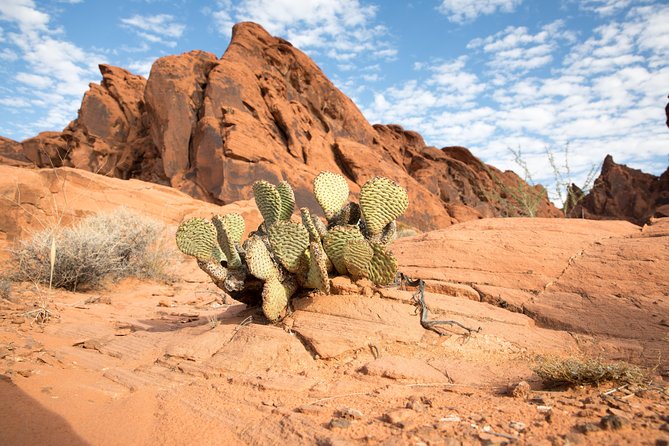 Valley of Fire and Lost City Museum Tour From Las Vegas - Pricing and Booking