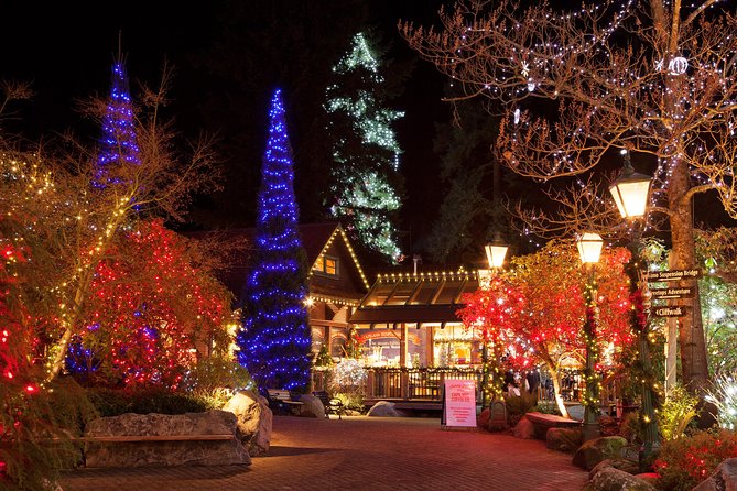 Vancouver City and Capilano Suspension Bridge Canyon Lights Tour - Tour Overview and Inclusions
