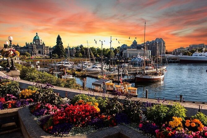 Vancouver Island 2-Day Tour 3/4/5 Star Hotel (Chinese & Eng) - Pricing and Value