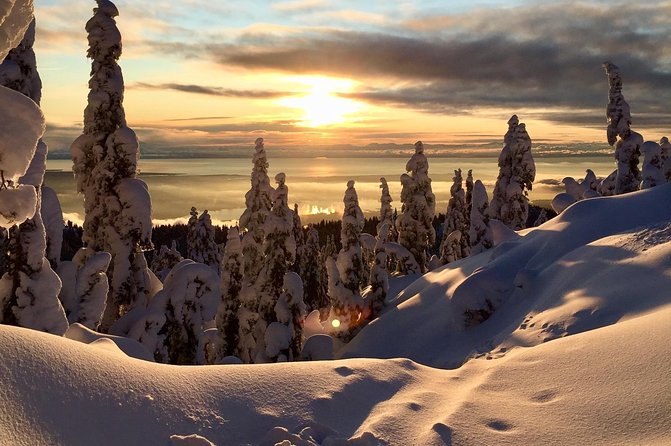 Vancouver Panoramic View Hike - Best Time to Hike