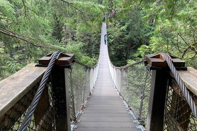 Vancouver Rainforest Hike With Waterfalls, Suspension Bridge, Old Growth Forest - Tour Details and Inclusions