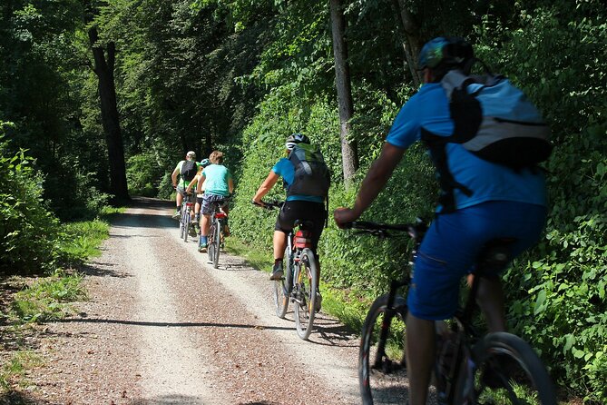 Vegan Bike Tour (Min.4) - Tour Details and Inclusions