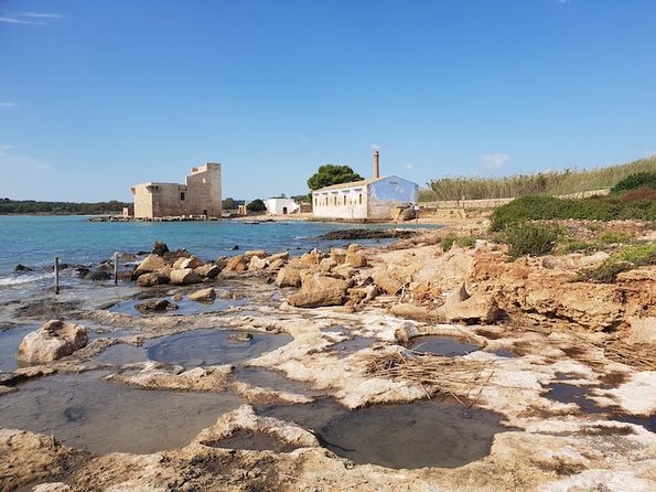 Vendicari - Sicilys Best Coast Nature Reserve ( Birdwatching & Archeology ) - Birdwatching Opportunities in Vendicari