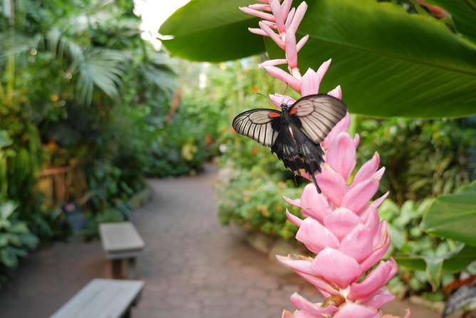 Victoria Butterfly Gardens Ticket - Location and Proximity