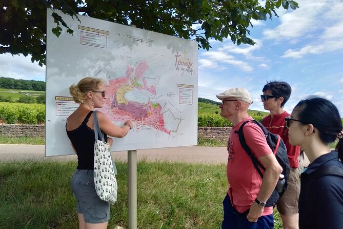 Vineyard and Wine Experience - Discovery 2h - Traveler Photos
