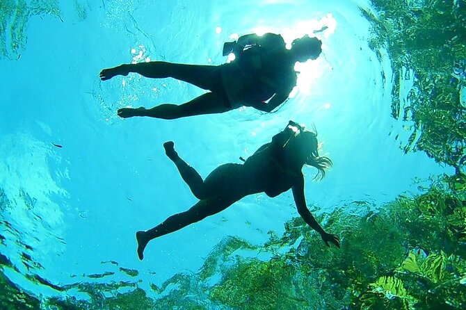 VIP Cenotes Private Tour (half-day) - Activities and Attractions