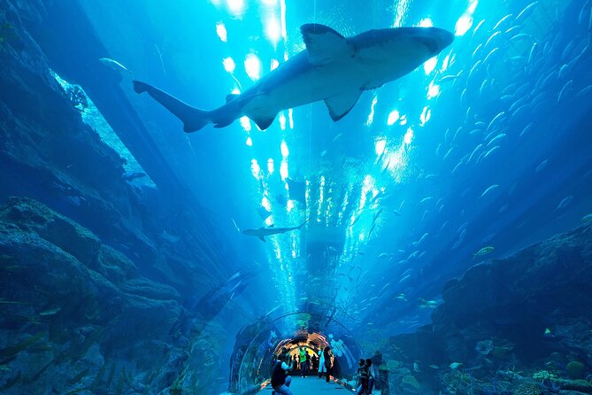 VIP Experience Dubai Aquarium & Underwater Zoo-As per Selection - Pricing and Guarantee