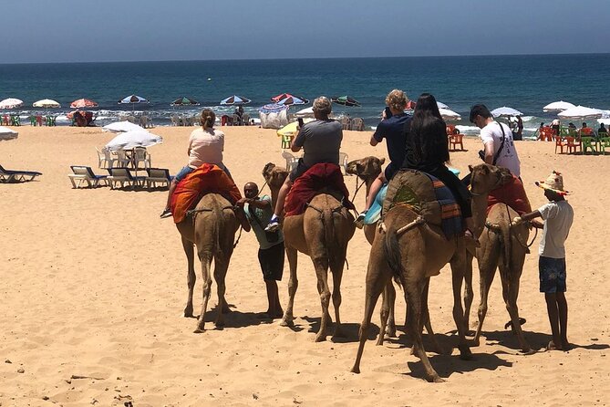 Vip Full Day Private Tangier Tour From Malaga All Inclusive - Pricing and Booking