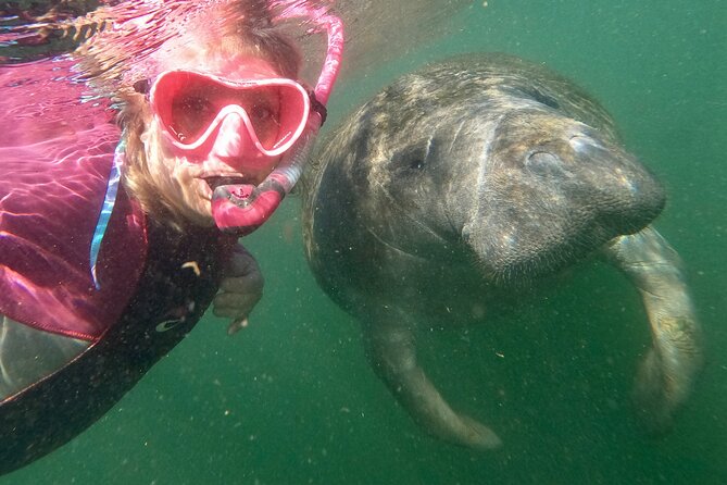 VIP Private Boat Manatee Snorkel Tour With In-Water Guide and Photograper - Tour Inclusions