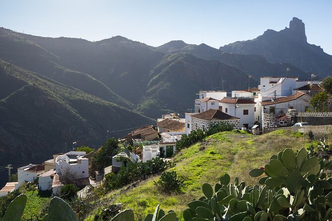 VIP Tour in Gran Canaria: Firgas, Tejeda, Guayadeque by Bus - Booking and Flexibility