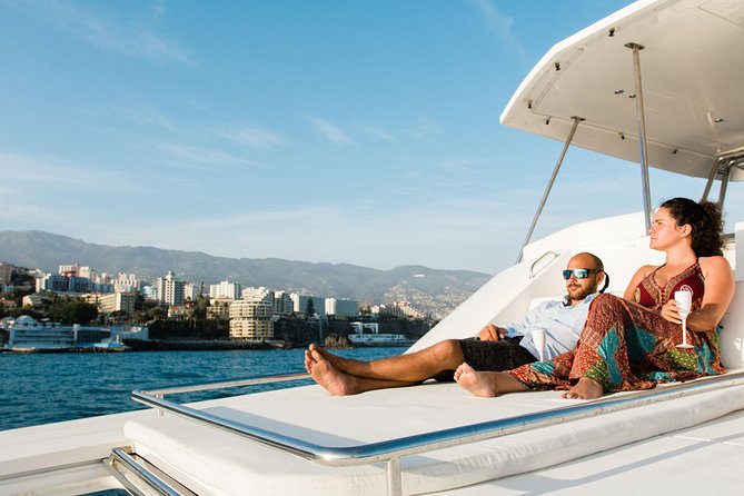 VipDolphins Luxury Whale Watching - Pricing and Booking Process