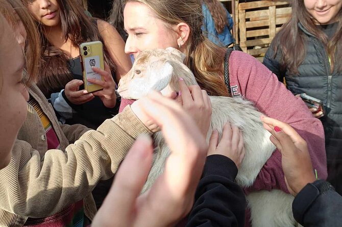 Visit a Goat Farm in a Village and Taste Local Flavours - Transportation and Pickup Details