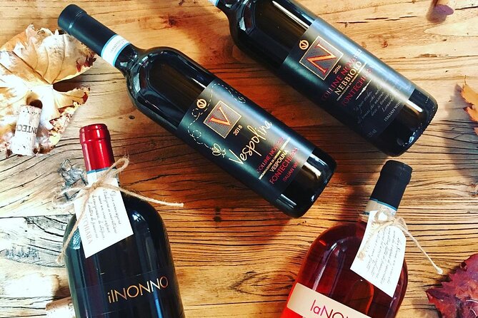 Visit and Tasting of 3 D.O.C.Wines Fontechiara - The Winemaking Process at Fontechiara