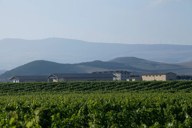 Visit and Tasting Señorío De Otazu - History and Background