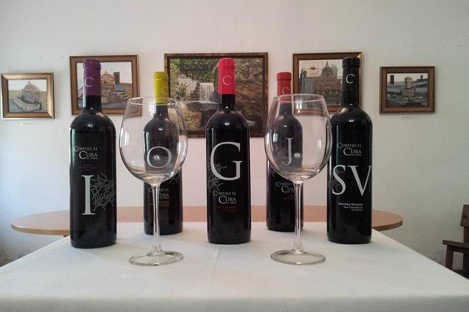 Visit to Eco Winery Cortijo El Cura and Wine Tasting in English - Wine Tasting Experience
