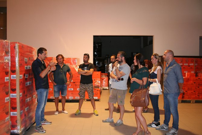  Visit to the Podere Castorani Winery and Wine and Food Tasting - Overview of Podere Castorani Winery